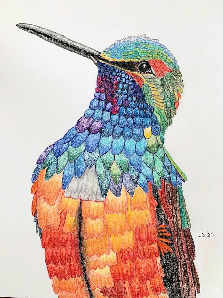 Hummingbird