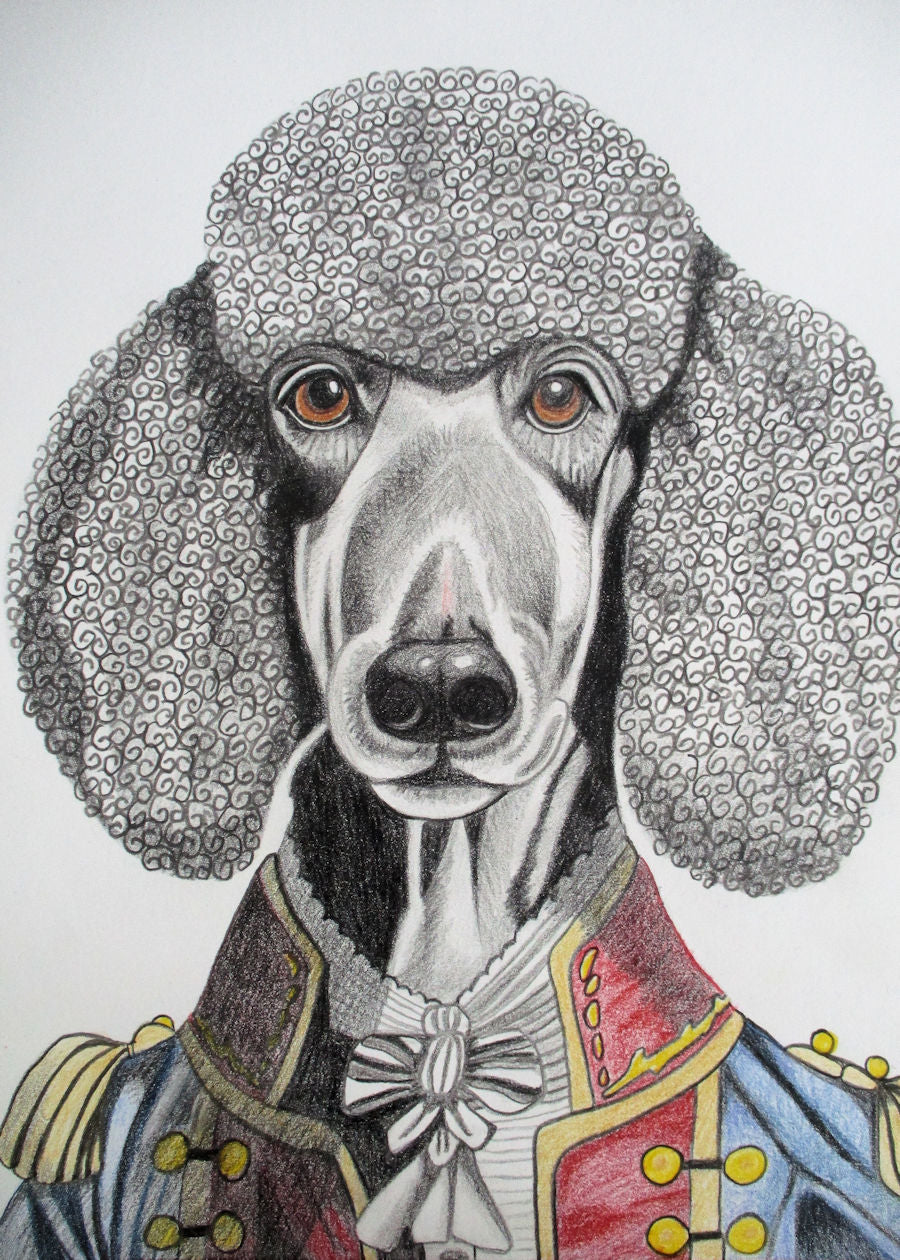 Sebastian, The Distinquished Poodle