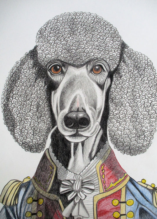 Sebastian, The Distinquished Poodle