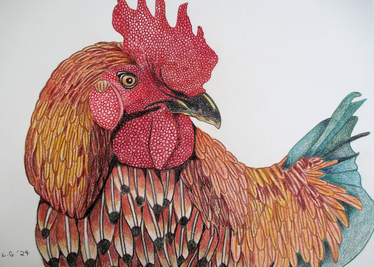 Colorful Rooster