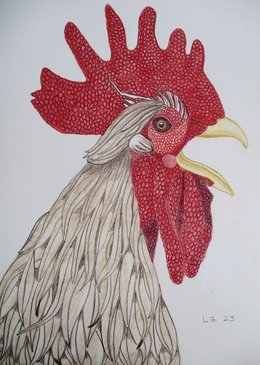 Rooster Profile Open Mouth