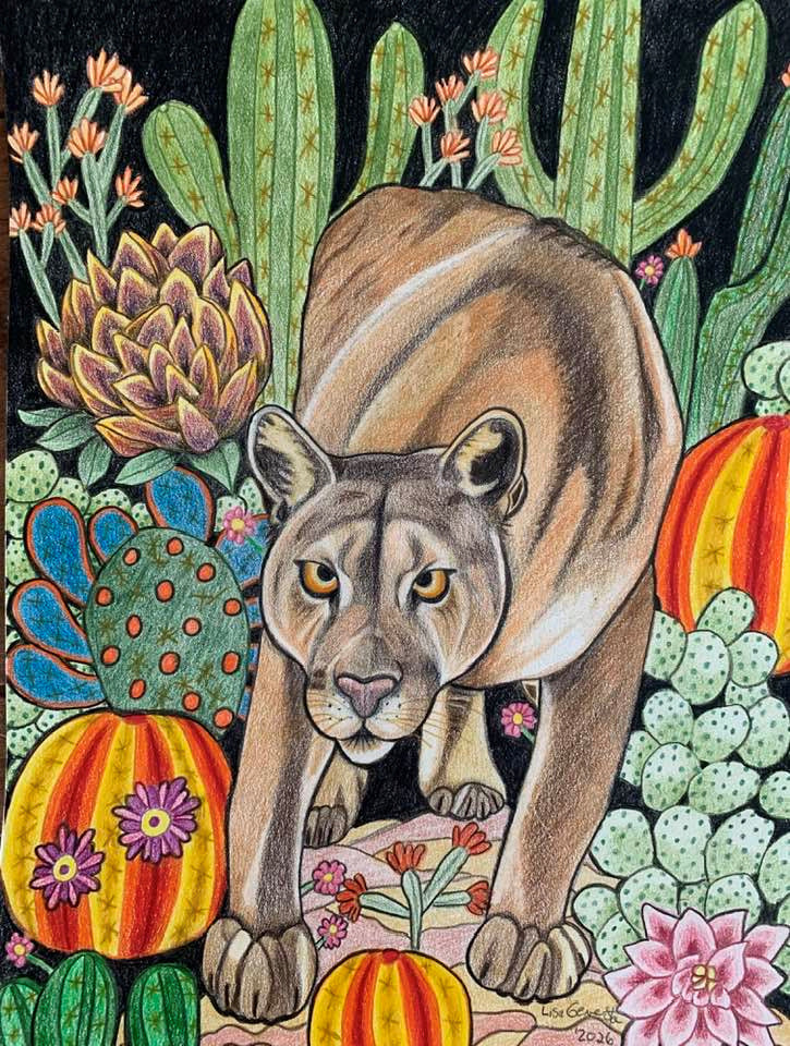 Nocturnal Mountain Lion