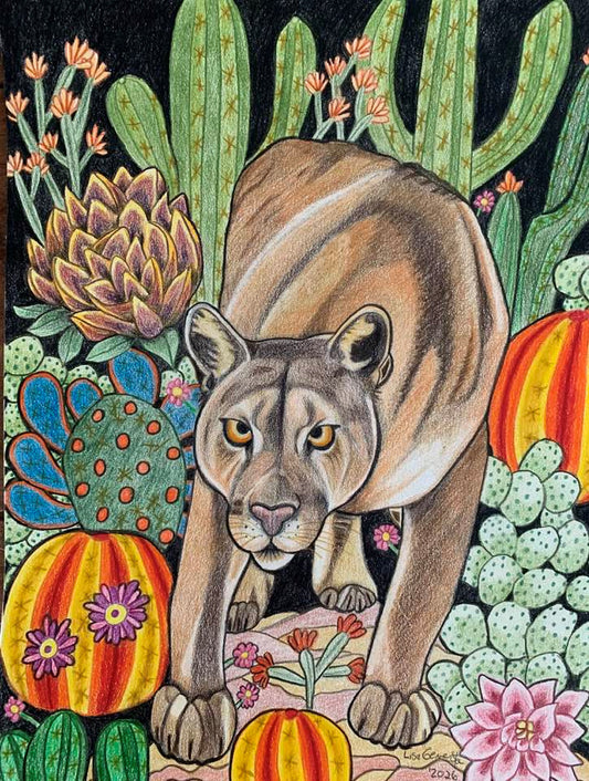 Nocturnal Mountain Lion