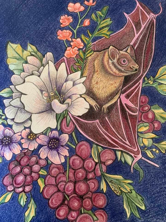 Mojave Pallid Bat
