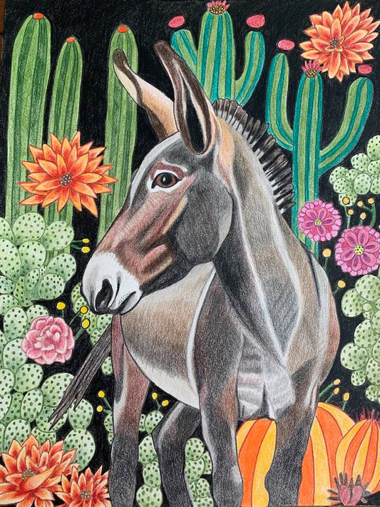 Nocturnal Donkey