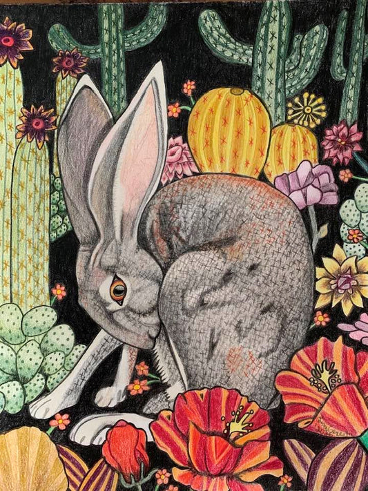 Nocturnal Hare 2