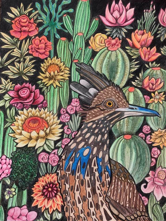 Nocturnal Roadrunner