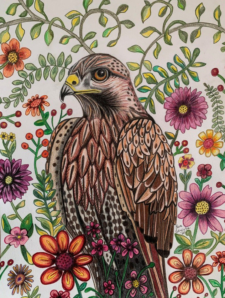 The Hawk 2