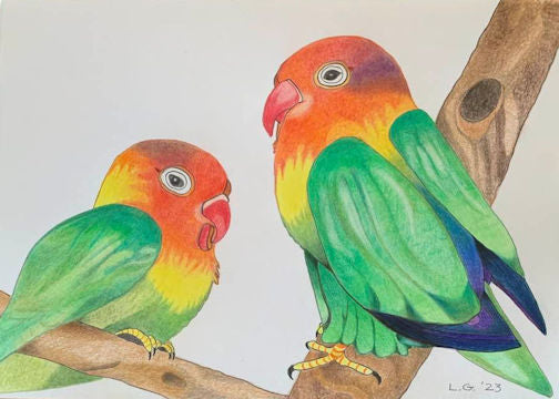 Two Parrots