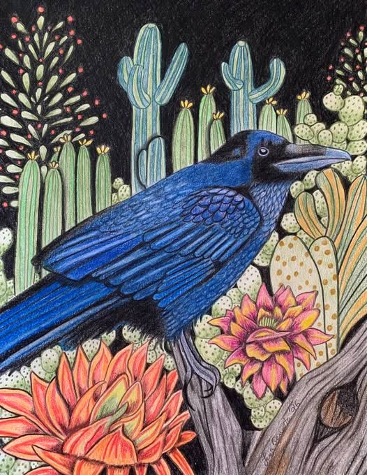Nocturnal Raven